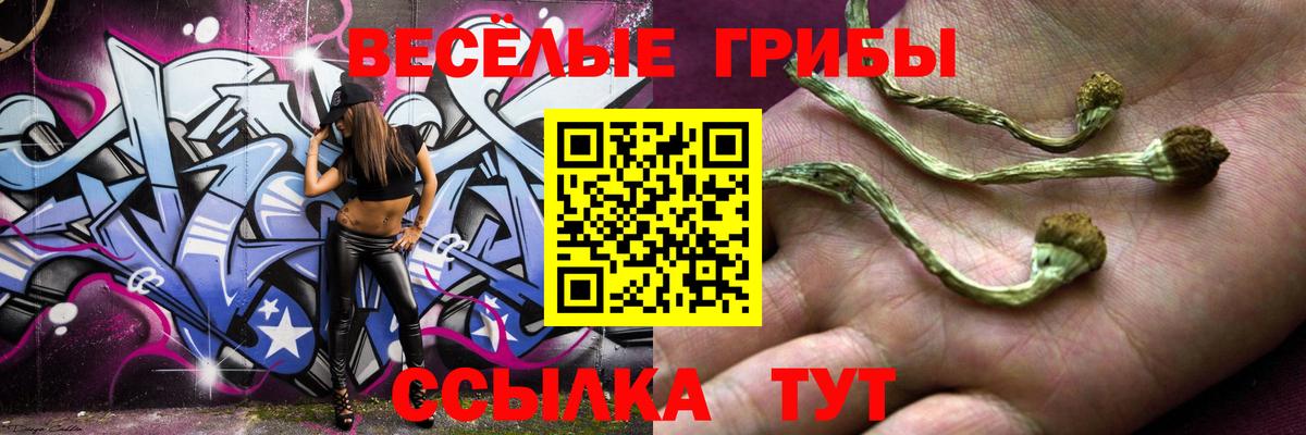 Псилоцибиновые грибы Psilocybe  Вход с VPN  Заринск 