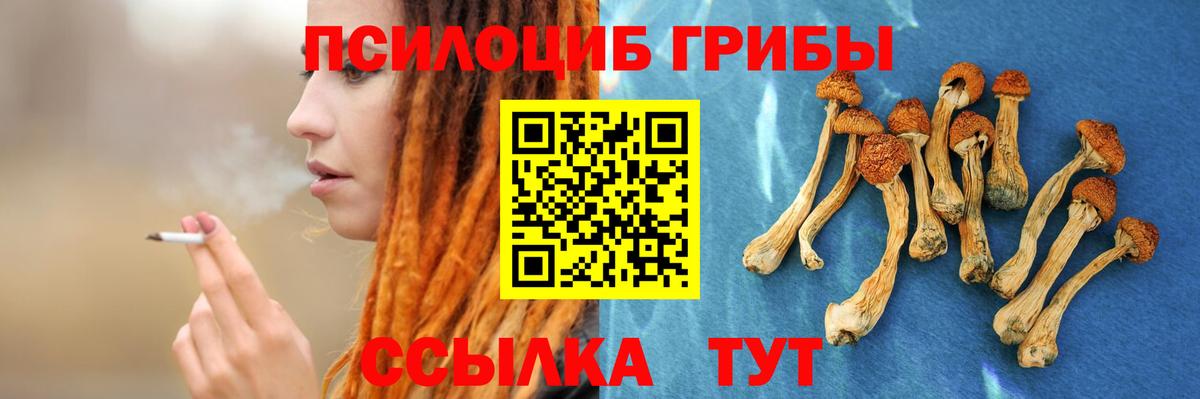 Кокаин  Вход с VPN  Метамфетамин  Бошки Шишки  Гашиш  Гашиш  Заринск  Лсд 25  А ПВП СК кристаллы  Меф кристаллы 